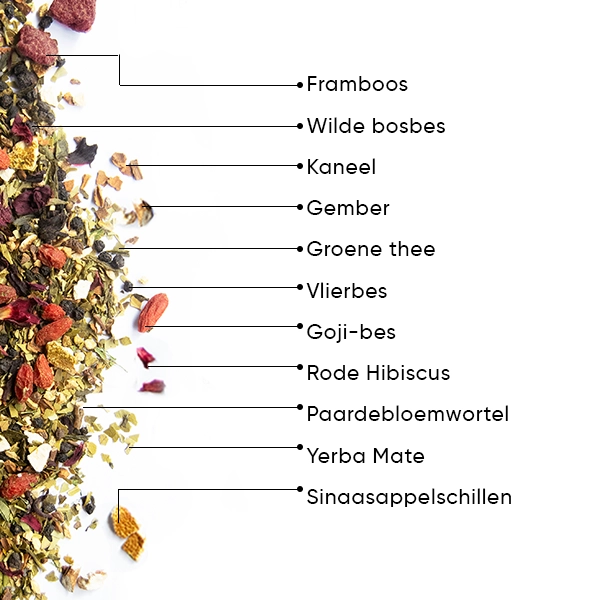 WOW-TEA-WEB-Berry-Slimfit-PP-Gallery-04-NL