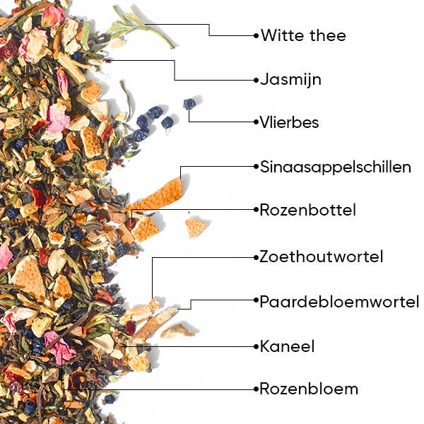 WOWTEA-PURE-TEA-GALLERY-3-NL