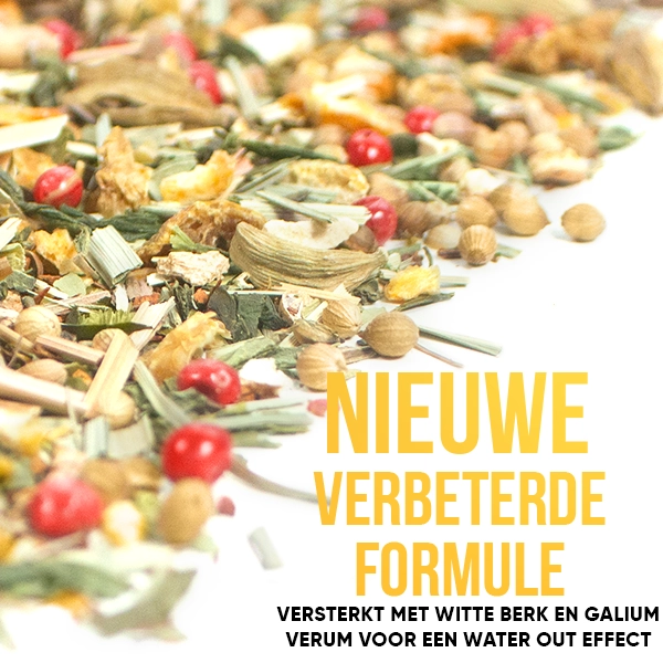 WOWTEA-WEB-Summer-editions-Detox-Gallery-5-NL