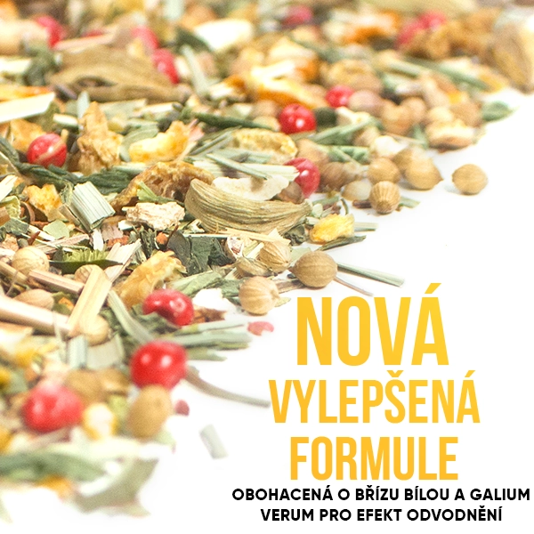 WOWTEA-WEB-Summer-editions-Detox-Gallery-5-CZ