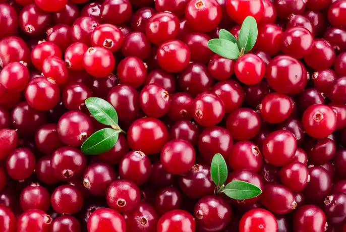 cranberry.webp
