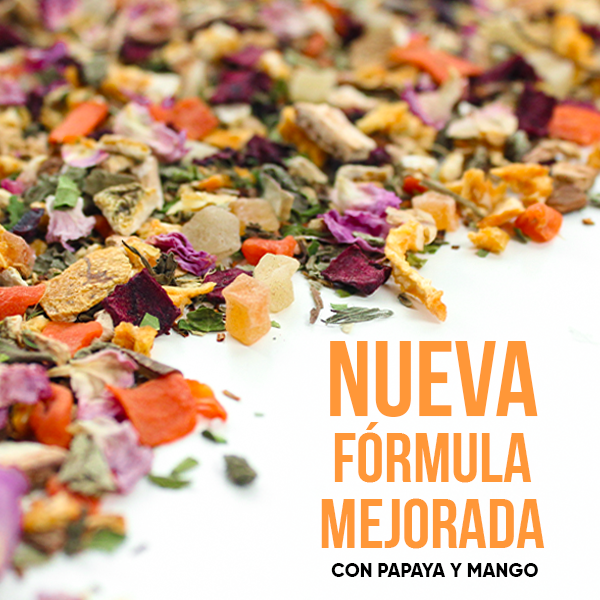 WOWTEA-WEB-Summer-editions-Wellness-Gallery-5-ES