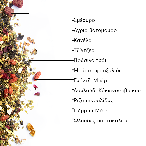 WOW-TEA-WEB-Berry-Slimfit-PP-Gallery-04-GR