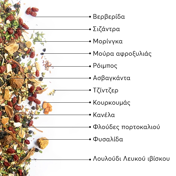 WOW-TEA-WEB-Berry-Wellness-PP-Gallery-04-GR