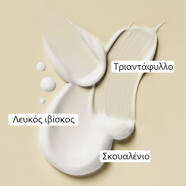 WOWTEA-WEB-Beauty-Line-Cream-Gallery-5-GR