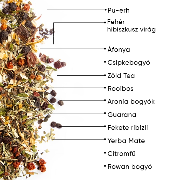 WOW-TEA-WEB-Berry-Detox-PP-Gallery-04-HU