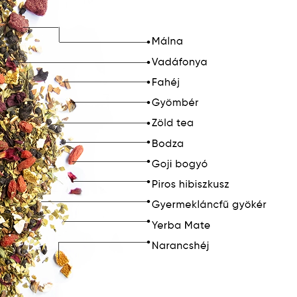 WOW-TEA-WEB-Berry-Slimfit-PP-Gallery-04-HU