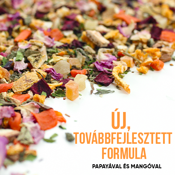 WOWTEA-WEB-Summer-editions-Wellness-Gallery-5-HU