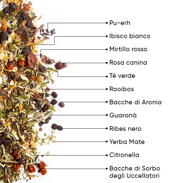 WOW-TEA-WEB-Berry-Detox-PP-Gallery-04-IT