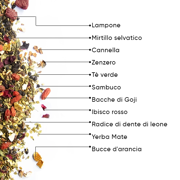 WOW-TEA-WEB-Berry-Slimfit-PP-Gallery-04-IT