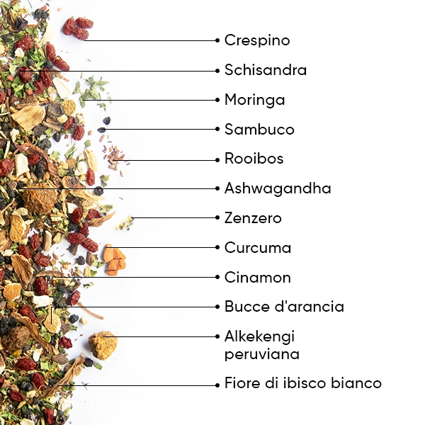 WOW-TEA-WEB-Berry-Wellness-PP-Gallery-04-IT