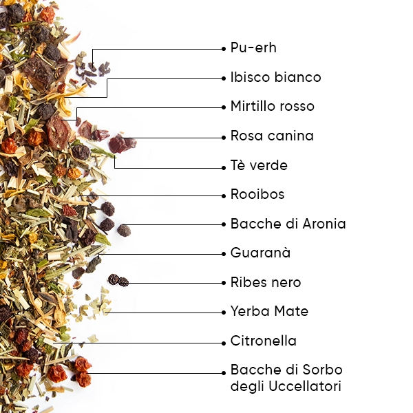 WOW-TEA-WEB-Perfect Berry Bundle-PP-Gallery-5-IT