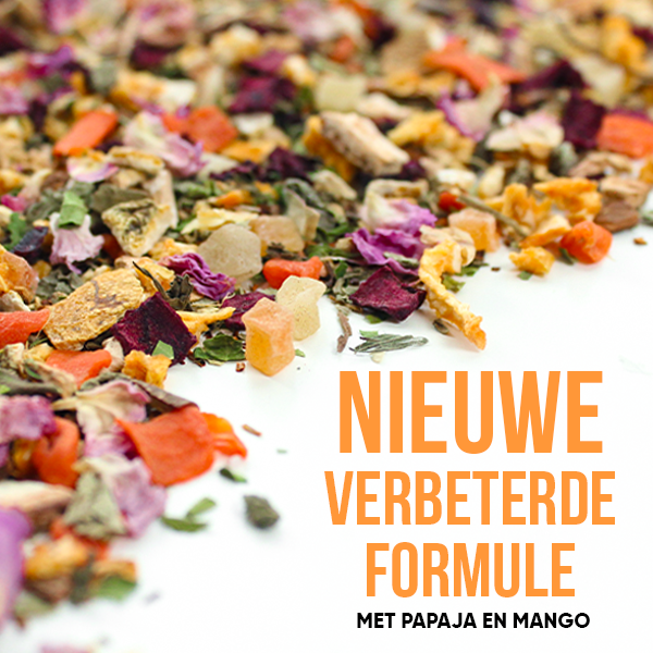 WOWTEA-WEB-Summer-editions-Wellness-Gallery-5-NL