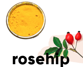 Rosehip