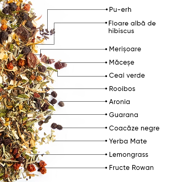 WOW-TEA-WEB-Berry-Detox-PP-Gallery-04-RO