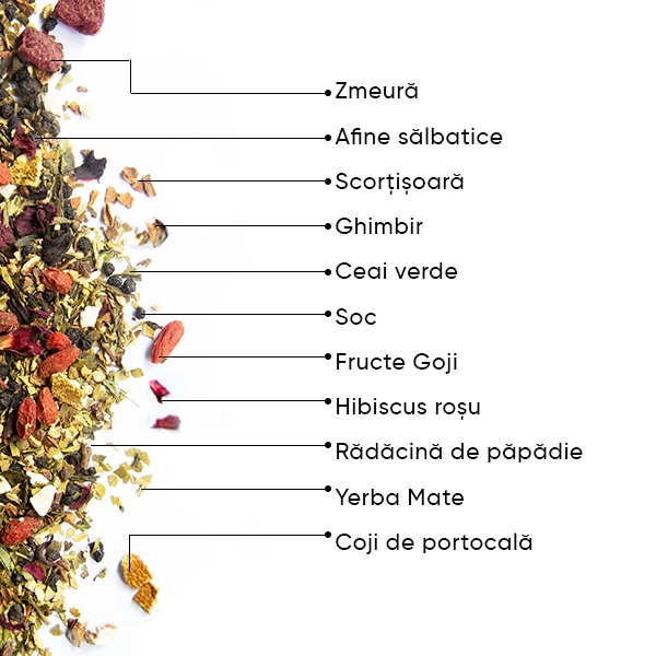 WOW-TEA-WEB-Berry-Slimfit-PP-Gallery-04-RO