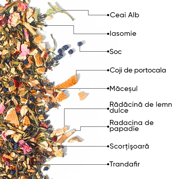 WOWTEA-PURE-TEA-GALLERY-3-RO