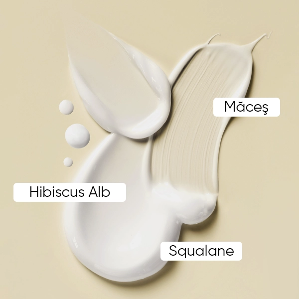 WOWTEA-WEB-Beauty-Line-Cream-Gallery-5-RO