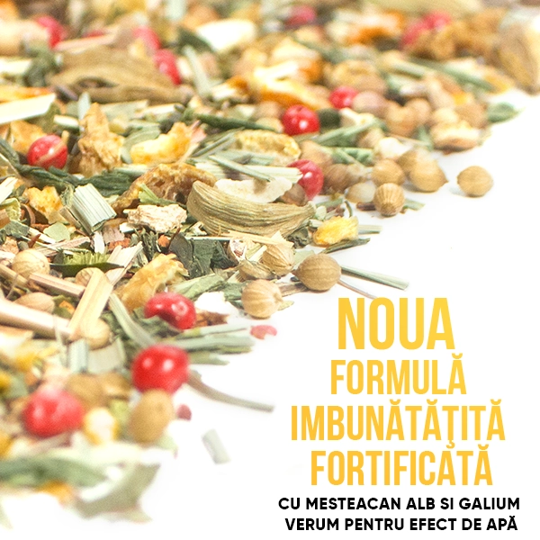 WOWTEA-WEB-Summer-editions-Detox-Gallery-5-RO