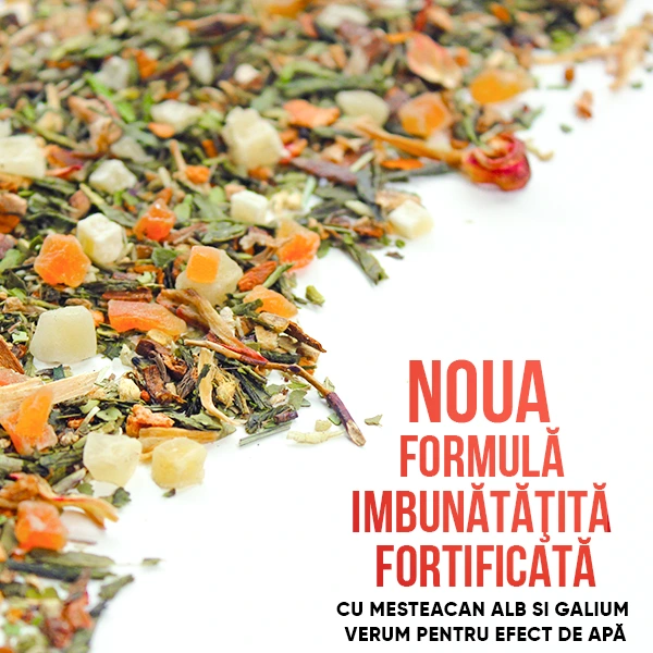 WOWTEA-WEB-Summer-editions-Slimfit-Gallery-5-RO