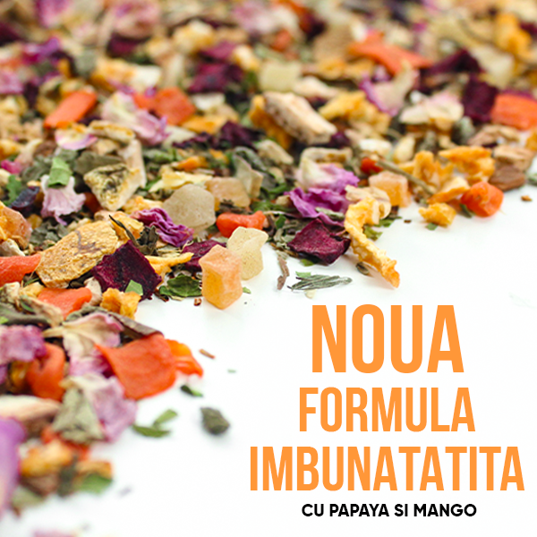 WOWTEA-WEB-Summer-editions-Wellness-Gallery-5-RO