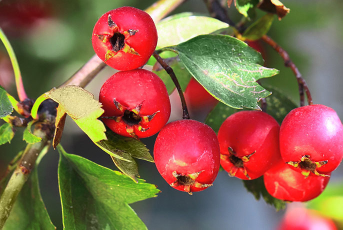 Order – iulie 15, 2022 @ 10:12 AM