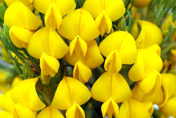 Order – iulie 15, 2022 @ 09:06 AM