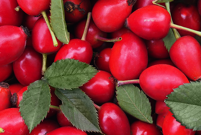 Order – iulie 14, 2022 @ 11:52 PM