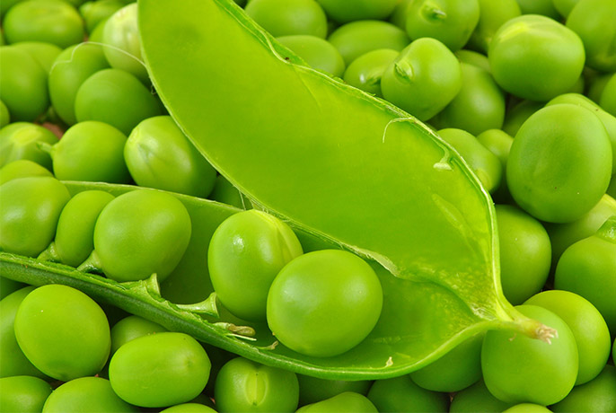 Order – 15 května, 2021 @ 09:06 AM