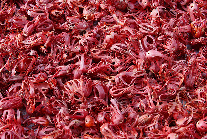 Order – Julho 1, 2021 @ 11:19 PM