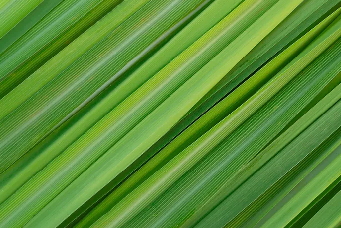 Payment pay_63d2801057e7d